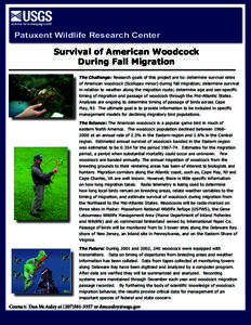 Patuxent Wildlife Research Center  Survival of American Woodcock During Fall Migration The Challenge: Research goals of this project are to: determine survival rates of American woodcock (Scolopax minor) during fall migr