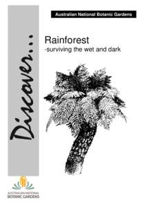 Australian National Botanic Gardens  Rainforest -surviving the wet and dark  Artwork