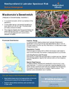 Newfoundland & Labrador Species at Risk Status: Endangered Mackenzie’s Sweetvetch (Hedysarum boreale subsp. mackenzii ) 