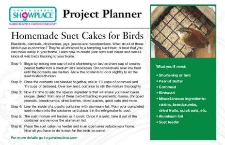 Project Planner Homemade Suet Cakes for Birds Bluebirds, cardinals, chickadees, jays, juncos and woodpeckers. What do all of these birds have in common? They’re all attracted to a tempting suet treat. A treat that you 