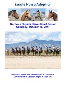 Saddle Horse Adoption  Northern Nevada Correctional Center Saturday, October 18, 2014  Preview 15 Horses and 1 Burro 9:00 a.m. - 10:00 a.m.