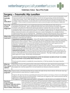 Orthopedic surgery / Implants / Pelvis / Dog health / Hip dysplasia / Veterinary surgery / Hip replacement / Hip / Joint dislocation / Medicine / Anatomy / Health