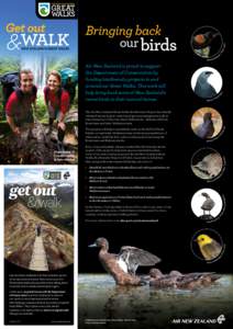 Fiordland / Geography of Oceania / Oceania / Flightless birds / New Zealand Great Walks / Routeburn Track / Lake Waikaremoana / Rakiura Track / Kepler Track / Southland Region / Geography of New Zealand / Birds of New Zealand