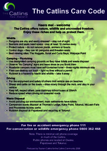 The Catlins Care Code Haere mai - welcome The Catlins offers nature, wildlife and uncrowded freedom. Enjoy these riches and help us protect them. Wildlife