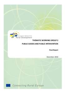 Thematic Working Group 3 – Final Report  THEMATIC WORKING GROUP 3 PUBLIC GOODS AND PUBLIC INTERVENTION Final Report