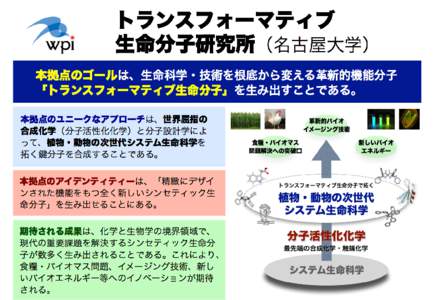 拠点長	
  伊丹	
  健一郎	
 (いたみ	
  けんいちろう)	
  	
  名古屋大学 大学院理学研究科物質理学専攻	
  教授 生年月日