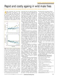 brief communications  Rapid and costly ageing in wild male flies Short-lived insects surprisingly still suffer senescence under natural conditions. geing (senescence) has never been demonstrated convincingly in any