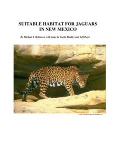 SUITABLE HABITAT FOR JAGUARS IN NEW MEXICO