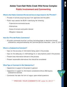 Adobe Town/Salt Wells Creek Wild Horse Complex Public Involvement and Commenting What is the Public Comment Period and how is Input Used in the Process? • Process of actively acquiring input from agencies and the publi