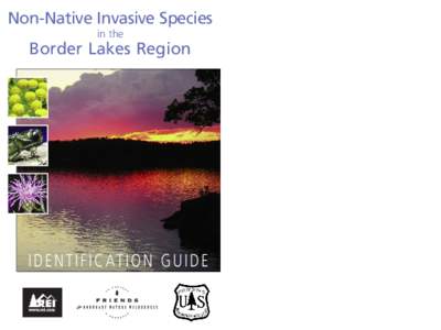 Non-Native Invasive Species in the Border Lakes Region  I D E N T I F I C AT I O N G U I D E