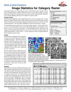 Raster & Image Processing: Image Statistics for Category Raster