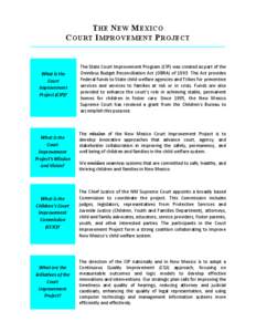 Court Improvement Project