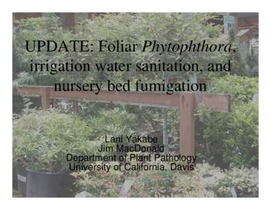 UPDATE: Foliar Phytophthora, irrigation water sanitation, and nursery bed fumigation Lani Yakabe Jim MacDonald