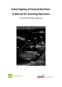 Foetal Ageing of Farmed Red Deer: A Manual for Scanning Operators Ian Scott and Geoff Asher, AgResearch Table of Contents