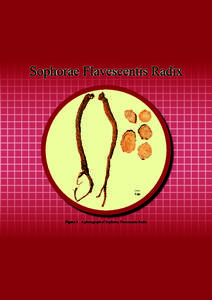 Sophora flavescens / Ethanol / Matrine / Solution / Iodine / Chemistry / Chromatography / Traditional Chinese medicine