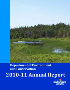 ENV Annual Report November[removed]DRAFT