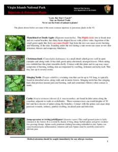 Virgin Islands National Park  National Park Service U.S. Department of the Interior  Injurious & Poisonous Plants