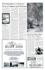 The Mono County Press • 2008 Edition • Page 5  Fall Explodes in a Colorful