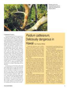 Botany / Psidium / Flora of Brazil / Psidium cattleianum / Guava / Tectococcus ovatus / Eugenia stipitata / Psidium guajava / Pergidae / Flora / Biogeography / Invasive plant species