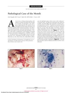 SPECIAL FEATURE SECTION EDITOR: ENID GILBERT-BARNESS, MD Pathological Case of the Month Amir Bajoghli, MD; Franz E. Babl, MD, MPH; Robin L. Travers, MD