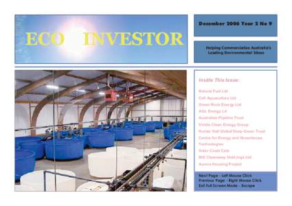 Eco Investor December 2006.vp:CorelVentura 7.0