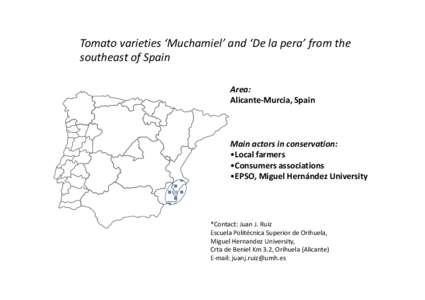Tomato varieties ‘Muchamiel’ and ‘De la pera’ from the southeast of Spain Area: Alicante-Murcia, Spain  Main actors in conservation: