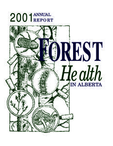 2001  ANNUAL REPORT  FOREST