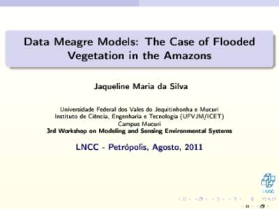 Data Meagre Models: The Case of Flooded Vegetation in the Amazons Jaqueline Maria da Silva  Universidade Federal dos Vales do Jequitinhonha e Mucuri