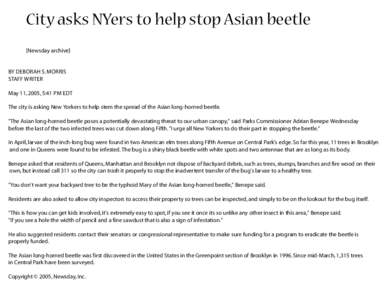 City asks NYers to help stop Asian beetle [Newsday archive] BY DEBORAH S. MORRIS STAFF WRITER May 11, 2005, 5:41 PM EDT