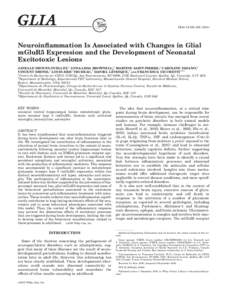 GLIA 59:188–[removed]Neuroinﬂammation Is Associated with Changes in Glial mGluR5 Expression and the Development of Neonatal Excitotoxic Lesions JANELLE DROUIN-OUELLET,1 ANNA-LIISA BROWNELL,2 MARTINE SAINT-PIERRE,1