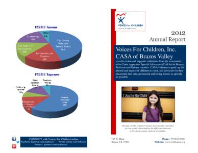 FY2012 Income[removed]Annual Report  Voices For Children, Inc.