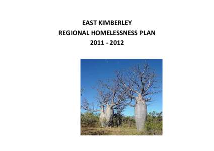 EAST KIMBERLEY REGIONAL HOMELESSNESS PLAN[removed] Introduction In August 2011 a meeting of regional stakeholders was held in Kununurra for the purpose of forming a Steering Group to guide the process of