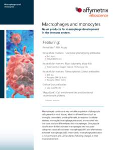 Macrophages and monocytes Macrophages and monocytes Novel products for macrophage development in the immune system.