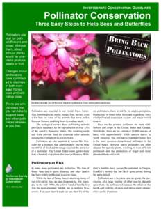 INVERTEBRATE CONSERVATION GUIDELINES  Pollinator Conservation Three Easy Steps to Help Bees and Butterflies Pollinators are vital for both