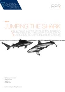 REPORT  JUMPING THE SHARK BUILDING INSTITUTIONS TO SPREAD ACCESS TO AFFORDABLE CREDIT