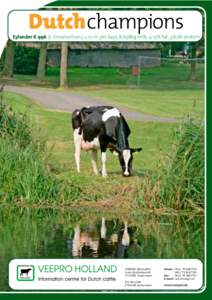 Eylander K 996 (s. Emanuelson), 2.01 in 361 days, 8,658kg milk, 4.13% fat, 3.62% protein  VEEPRO HOLLAND Louis BraillelaanEK Zoetermeer P.O. Box 348