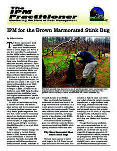 IPM for the Brown Marmorated Stink Bug By William Quarles T  he brown marmorated stink