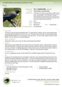 OTOROHANGA ZOOLOGICAL SOCIETY INC.	 SPECIES FACT SHEET NO.12  Tui 