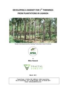 Silviculture / Plantation / Lumber / Forestry / Land management / Land use