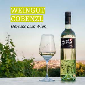 Weingut Cobenzl Genuss aus Wien Trocken, fruchtig, frisch und mit viel Wiener Charme