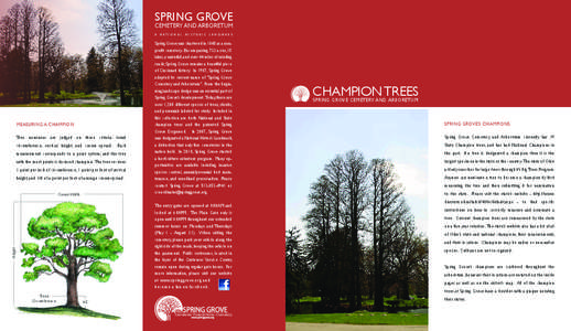 SPRING GROVE  CEMETERY AND ARBORETUM A  MEASURING A CHAMPION