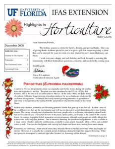 Botany / Christmas / Eudicots / Christmas plants / Epiphytes / Christian folklore / Flowers / Poinsettia / Schlumbergera / Houseplant / Euphorbia / Christmas tree