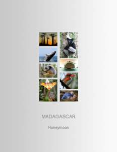 Geography of Madagascar / Tsingy de Bemaraha Strict Nature Reserve / Morondava / Nosy Be / Andasibe-Mantadia National Park / Antananarivo / Anosy / Manambolo River / Index of Madagascar-related articles / Geography of Africa / Africa / Madagascar