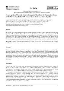 A new species of Noblella (Anura: Craugastoridae) from the Amazonian Slopes of the Ecuadorian Andes with Comments on Noblella lochites (Lynch)