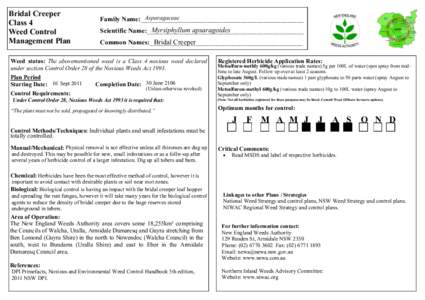 Bridal Creeper Class 4 Weed Control Management Plan  Asparagaceae