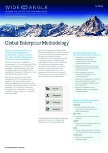 In Brief  Global Enterprise Methodology This is our global approach that enables your organisation to understand its current exposure