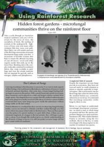 Hidden forest gardens - microfungal communities thrive on the rainforest floor August 2002 Take a walk through an Australian tropical rainforest and you will be