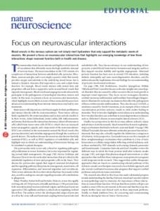 Focus on neurovascular interactions