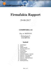 S nA Firmafakta Rapport  nin