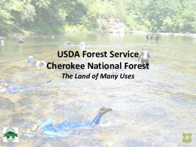 USDA Forest Service Cherokee National Forest The Land of Many Uses Snorkeling in the Cherokee National Forest